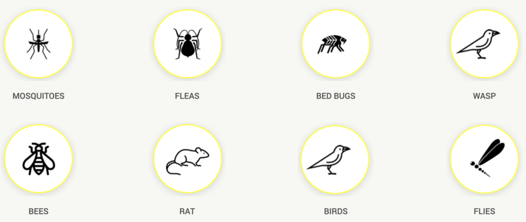 Pests That Pester - Hallmark Services